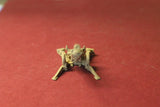 1-87TH SCALE USMC M777 HOWITZER FIRING POSITION