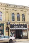 1-87TH HO SCALE 3D PRINTED PLUMB GOLD RACINE, WI